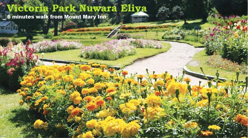 Mount Mary Inn Nuwara Eliya Exterior foto